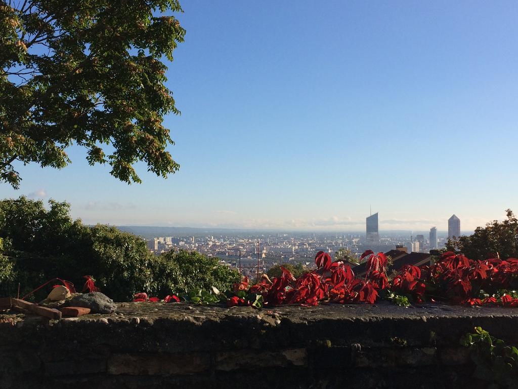 Le Jardin De Beauvoir Lyon Bagian luar foto